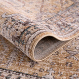 Darla Area Rug - Clearance - Ornate Home