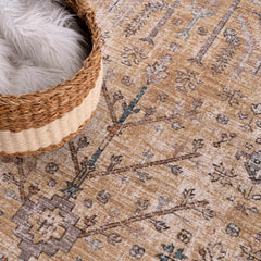 Darla Area Rug - Clearance - Ornate Home