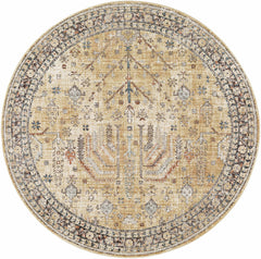 Darla Area Rug - Clearance - Ornate Home