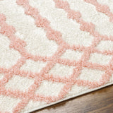 Darva Pink Plush Area Carpet - Ornate Home
