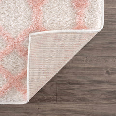 Darva Pink Plush Area Carpet - Ornate Home