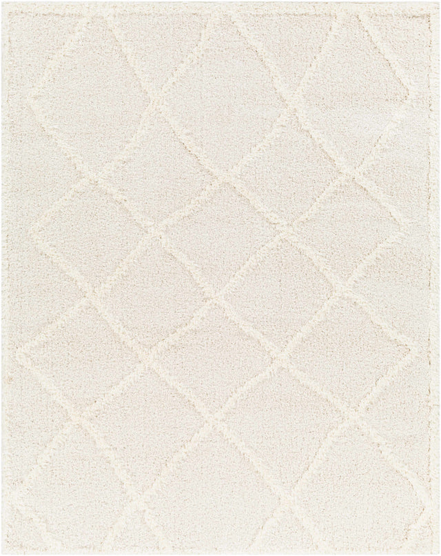Daube Area Rug - Clearance - Ornate Home