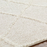 Daube Area Rug - Clearance - Ornate Home