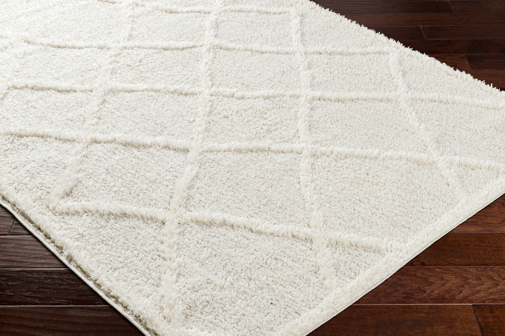 Daube Area Rug - Clearance - Ornate Home