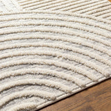 Dauin 3D Rainbow Area Rug with Tassels - Ornate Home