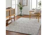 Dawid Wool Area Rug - Ornate Home