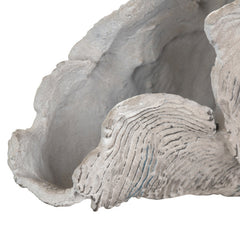 Deacon Medium Cream Coral Sculpture - Ornate Home