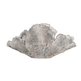 Deacon Medium Cream Coral Sculpture - Ornate Home