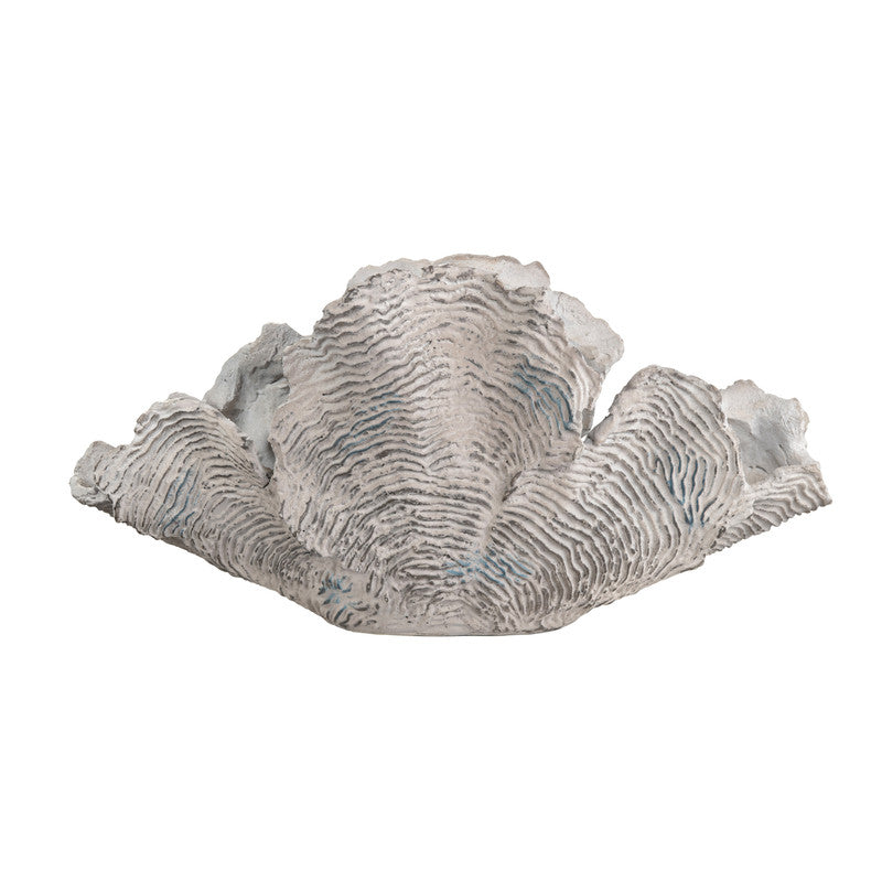 Deacon Medium Cream Coral Sculpture - Ornate Home