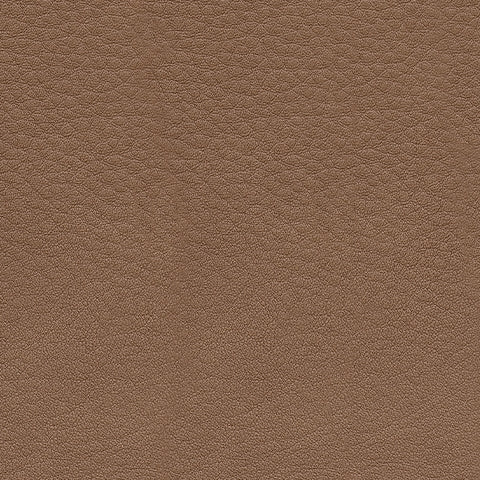 DeepWakes Caramel 2 Seat Power Reclining Sofa ADJ HDREST - Ornate Home