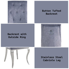 Dekel Fabric & Stainless Steel Side Chair (Set of 2) - Ornate Home