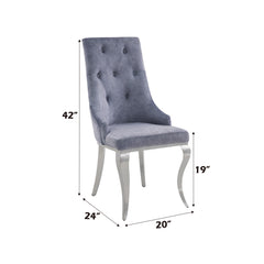 Dekel Fabric & Stainless Steel Side Chair (Set of 2) - Ornate Home
