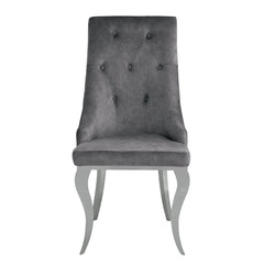 Dekel Fabric & Stainless Steel Side Chair (Set of 2) - Ornate Home