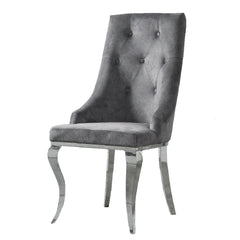 Dekel Fabric & Stainless Steel Side Chair (Set of 2) - Ornate Home