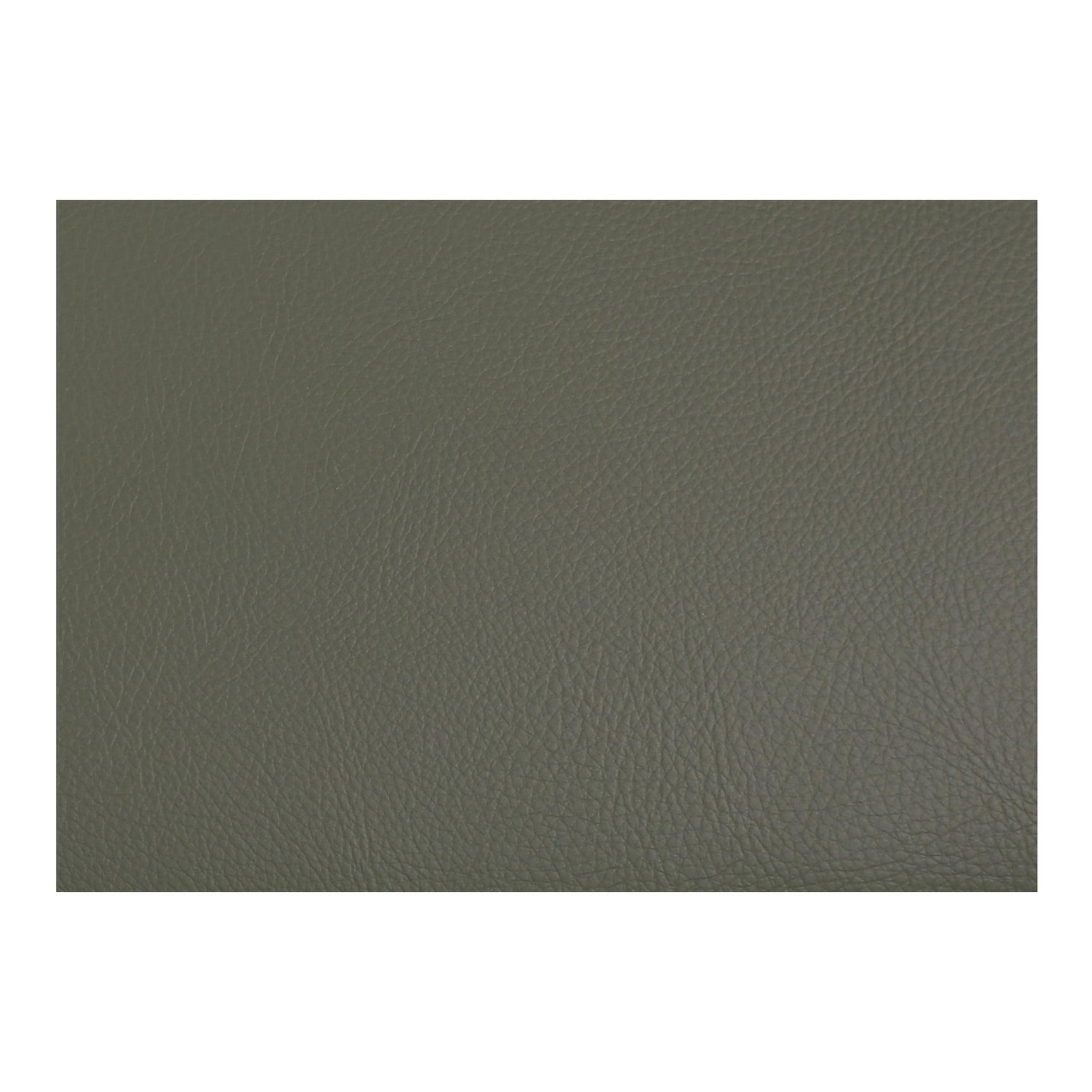 Delaney Dark Green Dining Chair (Set of 2) - Ornate Home