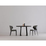 Delaney Grey Dining Chair (Set of 2) - Ornate Home