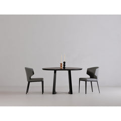 Delaney Grey Dining Chair (Set of 2) - Ornate Home