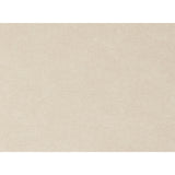 Delaney Warm Beige Dining Chair (Set of 2) - Ornate Home