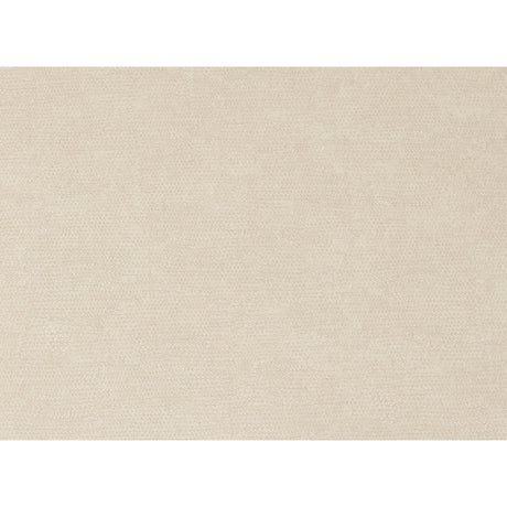 Delaney Warm Beige Dining Chair (Set of 2) - Ornate Home