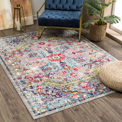 Delanson Colorful Area Rug - Ornate Home