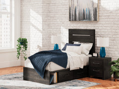Delmorta Dark Gray Twin Panel Youth Bed w/Storage - Ornate Home