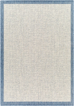 Demas Blue & Cream Outdoor Area Rug - Clearance - Ornate Home