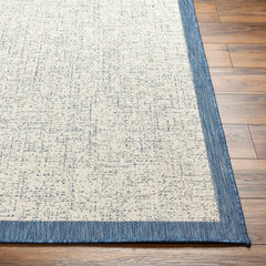 Demas Blue & Cream Outdoor Area Rug - Clearance - Ornate Home