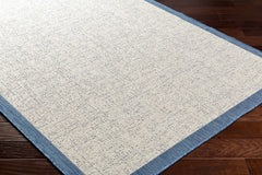 Demas Blue & Cream Outdoor Area Rug - Clearance - Ornate Home