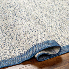 Demas Blue & Cream Outdoor Area Rug - Clearance - Ornate Home