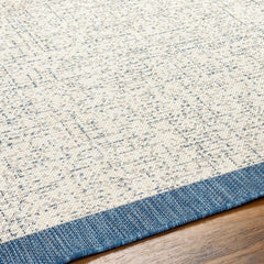 Demas Blue & Cream Outdoor Area Rug - Clearance - Ornate Home