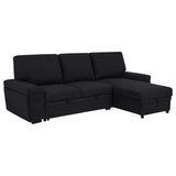 Demko Black Sleeper Sectional Sofa with Speaker and Storage Chaise - Ornate Home