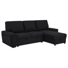 Demko Black Sleeper Sectional Sofa with Speaker and Storage Chaise - Ornate Home