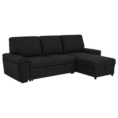Demko Black Sleeper Sectional Sofa with Speaker and Storage Chaise - Ornate Home