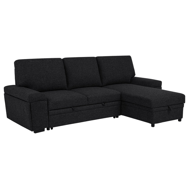 Demko Black Sleeper Sectional Sofa with Speaker and Storage Chaise - Ornate Home