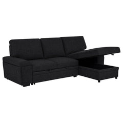 Demko Black Sleeper Sectional Sofa with Speaker and Storage Chaise - Ornate Home