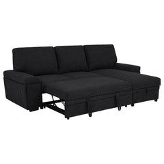 Demko Black Sleeper Sectional Sofa with Speaker and Storage Chaise - Ornate Home