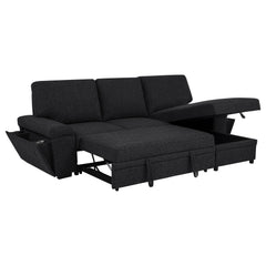 Demko Black Sleeper Sectional Sofa with Speaker and Storage Chaise - Ornate Home