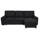 Demko Black Sleeper Sectional Sofa with Speaker and Storage Chaise - Ornate Home