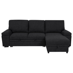 Demko Black Sleeper Sectional Sofa with Speaker and Storage Chaise - Ornate Home