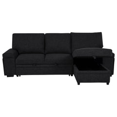 Demko Black Sleeper Sectional Sofa with Speaker and Storage Chaise - Ornate Home
