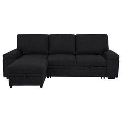 Demko Black Sleeper Sectional Sofa with Speaker and Storage Chaise - Ornate Home