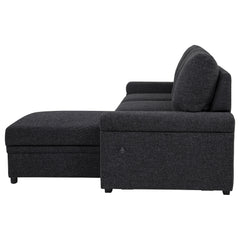 Demko Black Sleeper Sectional Sofa with Speaker and Storage Chaise - Ornate Home