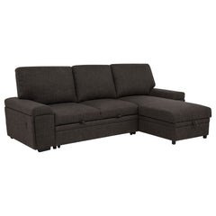 Demko Brown Sleeper Sectional Sofa with Speaker and Storage Chaise - Ornate Home
