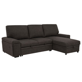 Demko Brown Sleeper Sectional Sofa with Speaker and Storage Chaise - Ornate Home