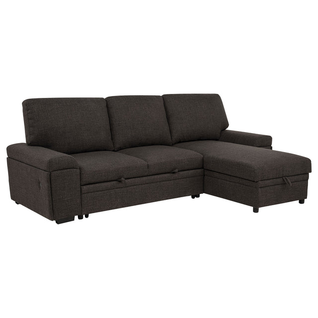 Demko Brown Sleeper Sectional Sofa with Speaker and Storage Chaise - Ornate Home