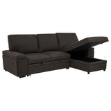 Demko Brown Sleeper Sectional Sofa with Speaker and Storage Chaise - Ornate Home