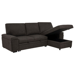Demko Brown Sleeper Sectional Sofa with Speaker and Storage Chaise - Ornate Home