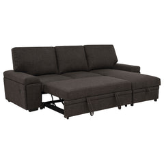 Demko Brown Sleeper Sectional Sofa with Speaker and Storage Chaise - Ornate Home
