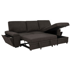 Demko Brown Sleeper Sectional Sofa with Speaker and Storage Chaise - Ornate Home