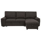 Demko Brown Sleeper Sectional Sofa with Speaker and Storage Chaise - Ornate Home